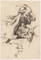 FF 001c
          <br/>
          Schetsblad met studies van geiten
          <br/>
          <em>Looy, Jacobus van (1855-1930)</em>